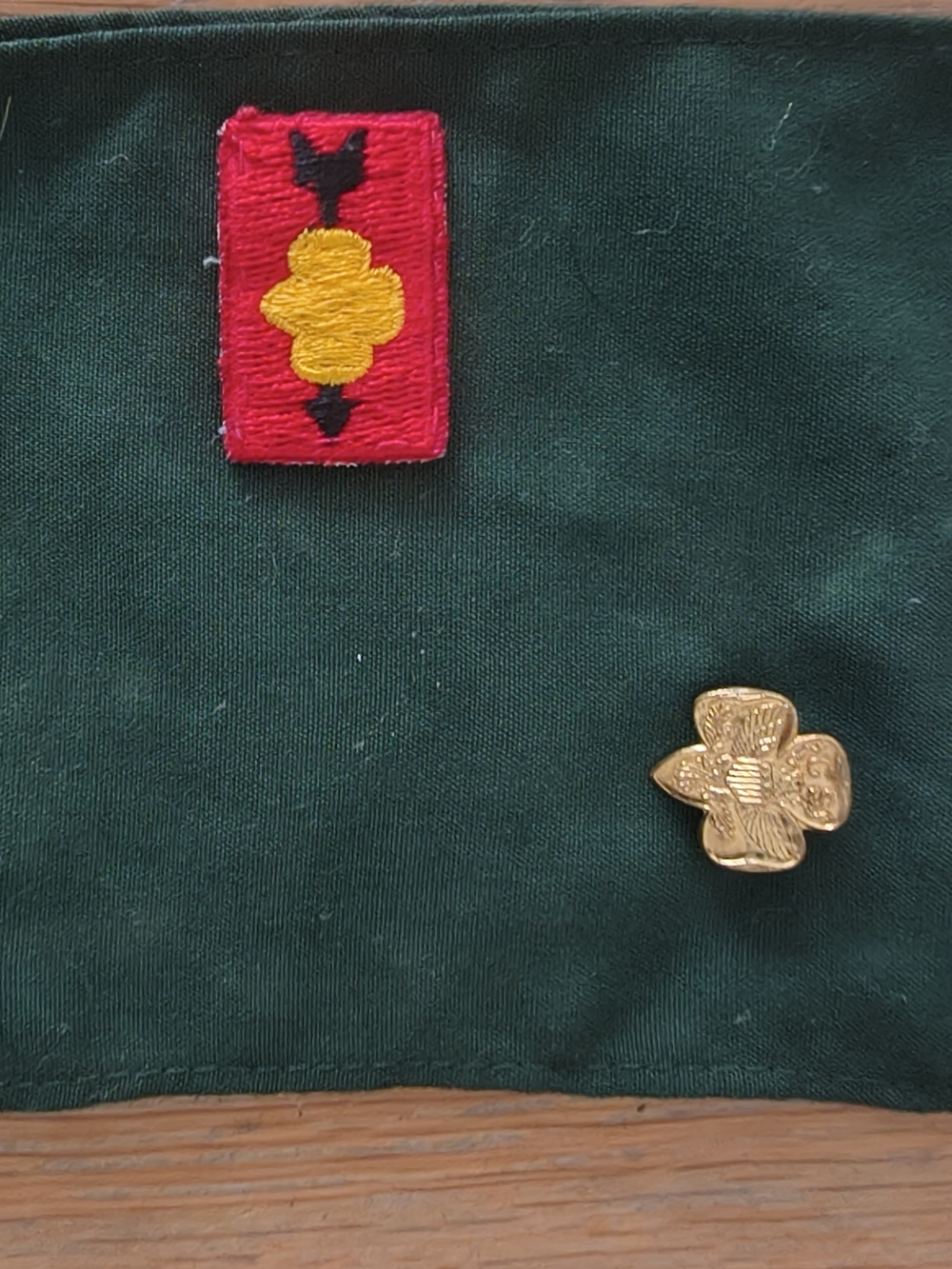 1970s Girl Scout Green Merit Badge Sash with Assorted Camp, outdoor badges - Picture 4 of 5